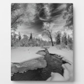 Plaque Photo Pure Campbell Creek (Devant)
