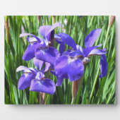 Plaque photo Purple Irises (Devant)