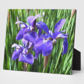 Plaque photo Purple Irises (Côté)