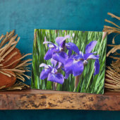 Plaque photo Purple Irises (Côté)