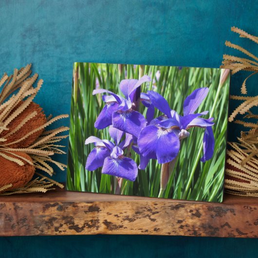 Plaque photo Purple Irises (Côté)
