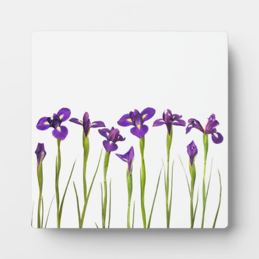 Plaque Photo Purple Irises - Iris Flower Customisé Modèle (Devant)