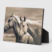 Plaque Photo Quart De Chevaux Sur Les Prairies Canadiennes (Côté)