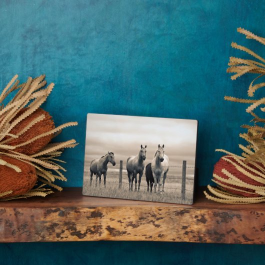 Plaque Photo Quart De Chevaux Sur Les Prairies Canadiennes (Côté)