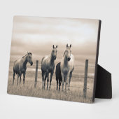 Plaque Photo Quart De Chevaux Sur Les Prairies Canadiennes (Côté)