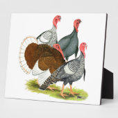 Plaque Photo Quartet de Turquie rare (Côté)