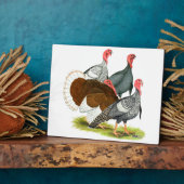 Plaque Photo Quartet de Turquie rare (Côté)