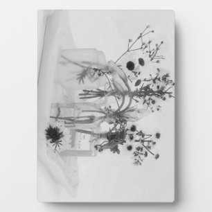 Plaque Photo Quatre Bouteilles Et Fleurs Blanches