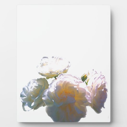 PLAQUE PHOTO R (Devant)