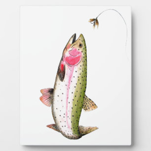 Plaque Photo Rainbow Trout Fly