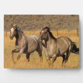 Plaque Photo Ranch Living at The Ponderosa Ranch (Devant)