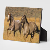 Plaque Photo Ranch Living at The Ponderosa Ranch (Côté)