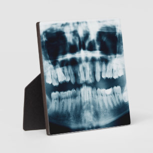 Plaque Photo Rayon X des dents