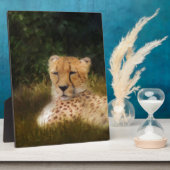 Plaque Photo Recenser Cheetah au Fossil Rim Wildlife Centre (Côté)