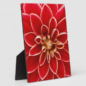 Plaque Photo Red Dahlia (Côté)
