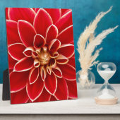Plaque Photo Red Dahlia (Côté)
