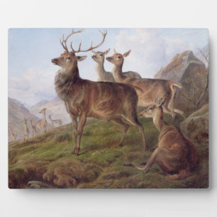 Plaque Photo Red Deer dans un paysage des Highlands, 1872 (huil