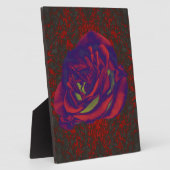 Plaque photo Red Rose (Côté)