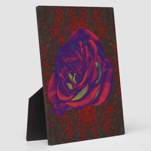 Plaque photo Red Rose (Côté)