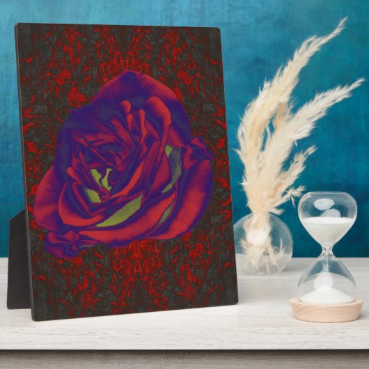 Plaque photo Red Rose (Côté)