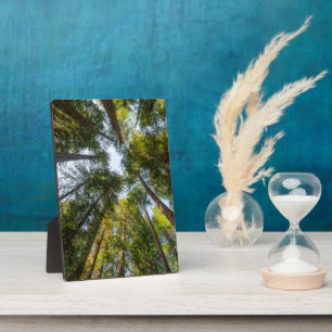 Plaque Photo Redwood National and State Parks, Californie