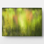 Plaque Photo Réflexions sur le lac Mirror | Yosemite (Devant)