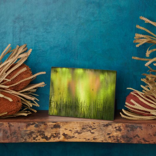 Plaque Photo Réflexions sur le lac Mirror | Yosemite (Côté)