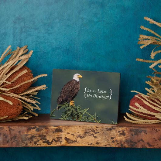 Plaque Photo Regal Bald Eagle (Côté)