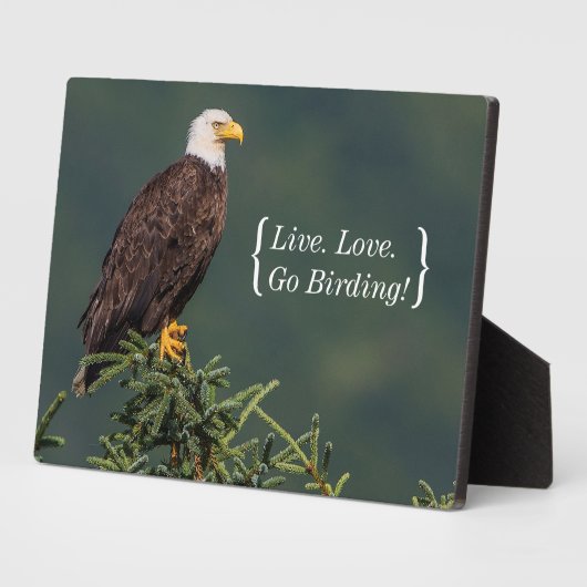 Plaque Photo Regal Bald Eagle (Côté)