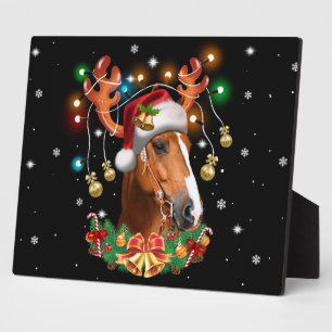 Plaque Photo Reindeer