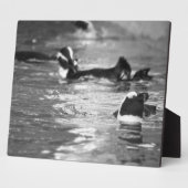 Plaque Photo Relaxant (Côté)
