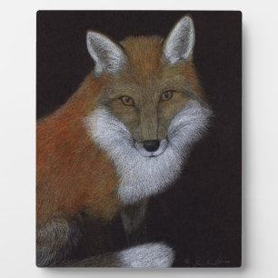 Plaque Photo Renard rouge