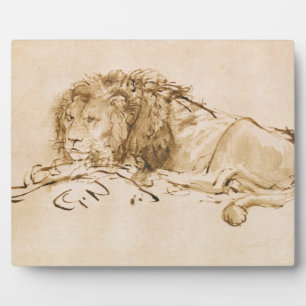 Plaque Photo Repose de lion (stylo et encre sur papier)
