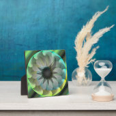 Plaque Photo Requin spiral par Kenneth Yoncich (Insitu)