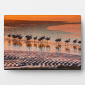 Plaque Photo Réserve nationale de faune andine Eduardo Abaroa (Devant)