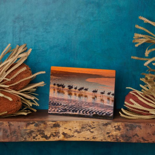 Plaque Photo Réserve nationale de faune andine Eduardo Abaroa (Côté)