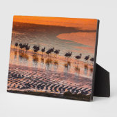 Plaque Photo Réserve nationale de faune andine Eduardo Abaroa (Côté)