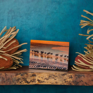 Plaque Photo Réserve nationale de faune andine Eduardo Abaroa