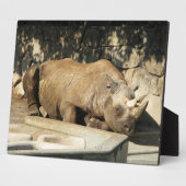 Plaque Photo Rhino couché (Côté)