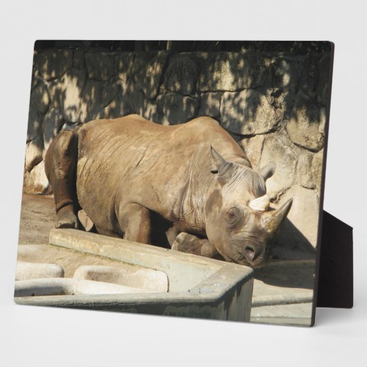 Plaque Photo Rhino couché (Côté)