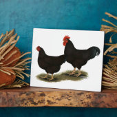 Plaque Photo Rhode Island Red Bantams (Côté)
