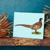 Plaque Photo Ringneck Pheasant Rooster (Côté)