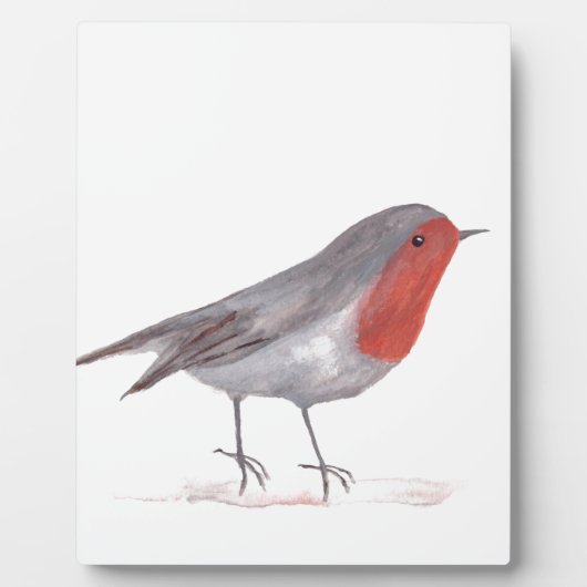 Plaque Photo Robin (Devant)