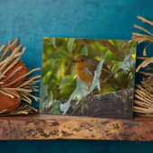 Plaque Photo Robin (Côté)