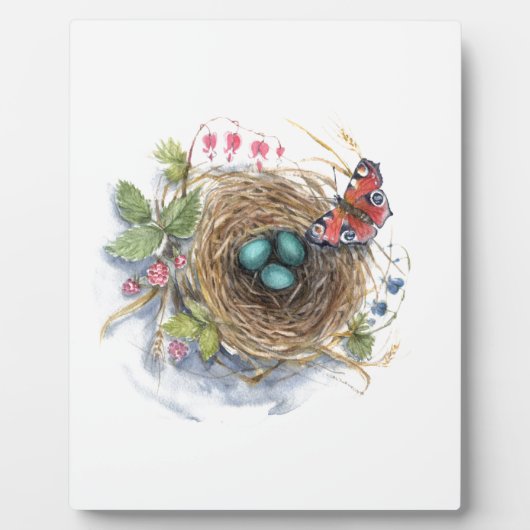 Plaque Photo Robin Nest (Devant)