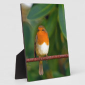 Plaque Photo ROBIN Rouge (Côté)