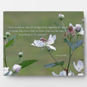 Plaque Photo Romans 8:28 (Devant)