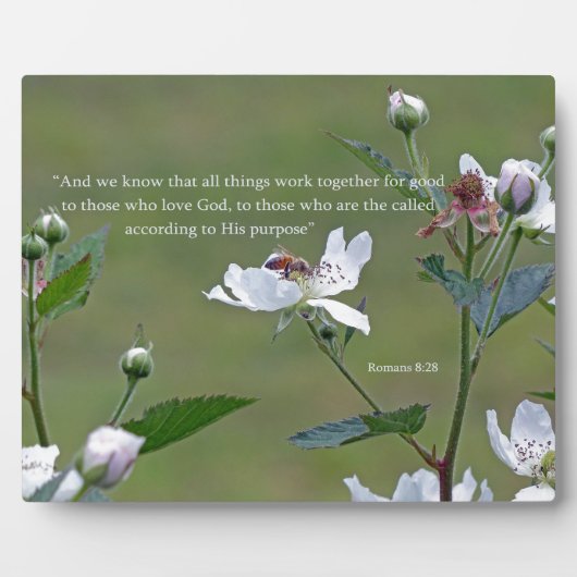 Plaque Photo Romans 8:28 (Devant)