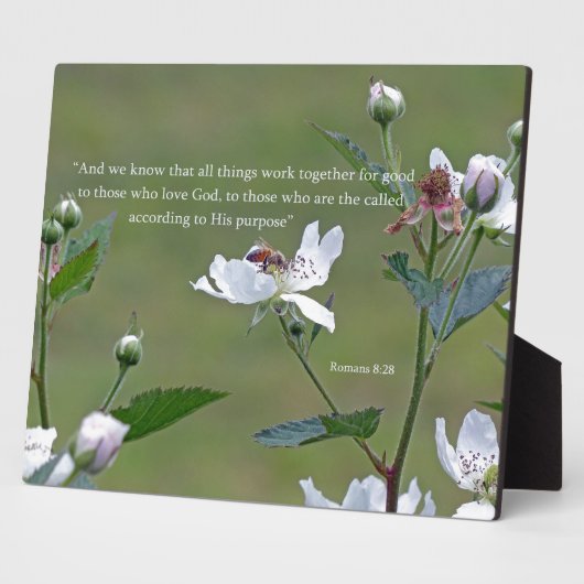 Plaque Photo Romans 8:28 (Côté)