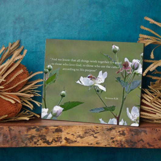 Plaque Photo Romans 8:28 (Côté)